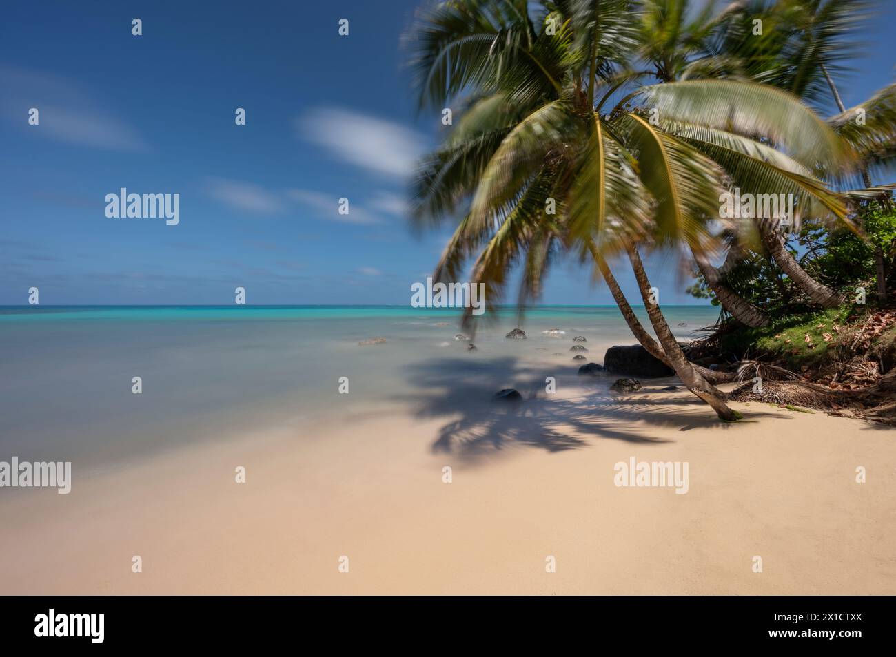 Clean sand beach at blue sea under palm tree shade Stock Photo