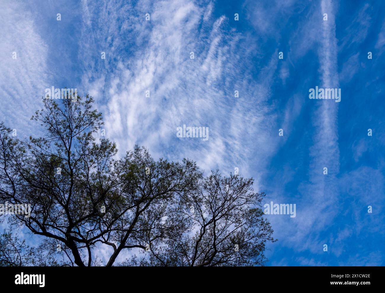 Sky pretty dramatic morning hi-res stock photography and images - Alamy