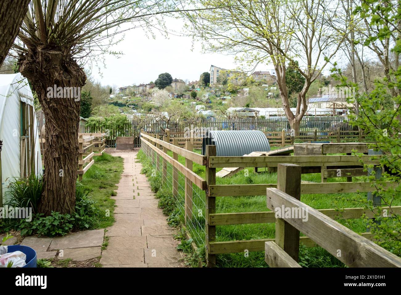 Around St Werburgh's a suburb of Bristol UK The allotments Stock Photo