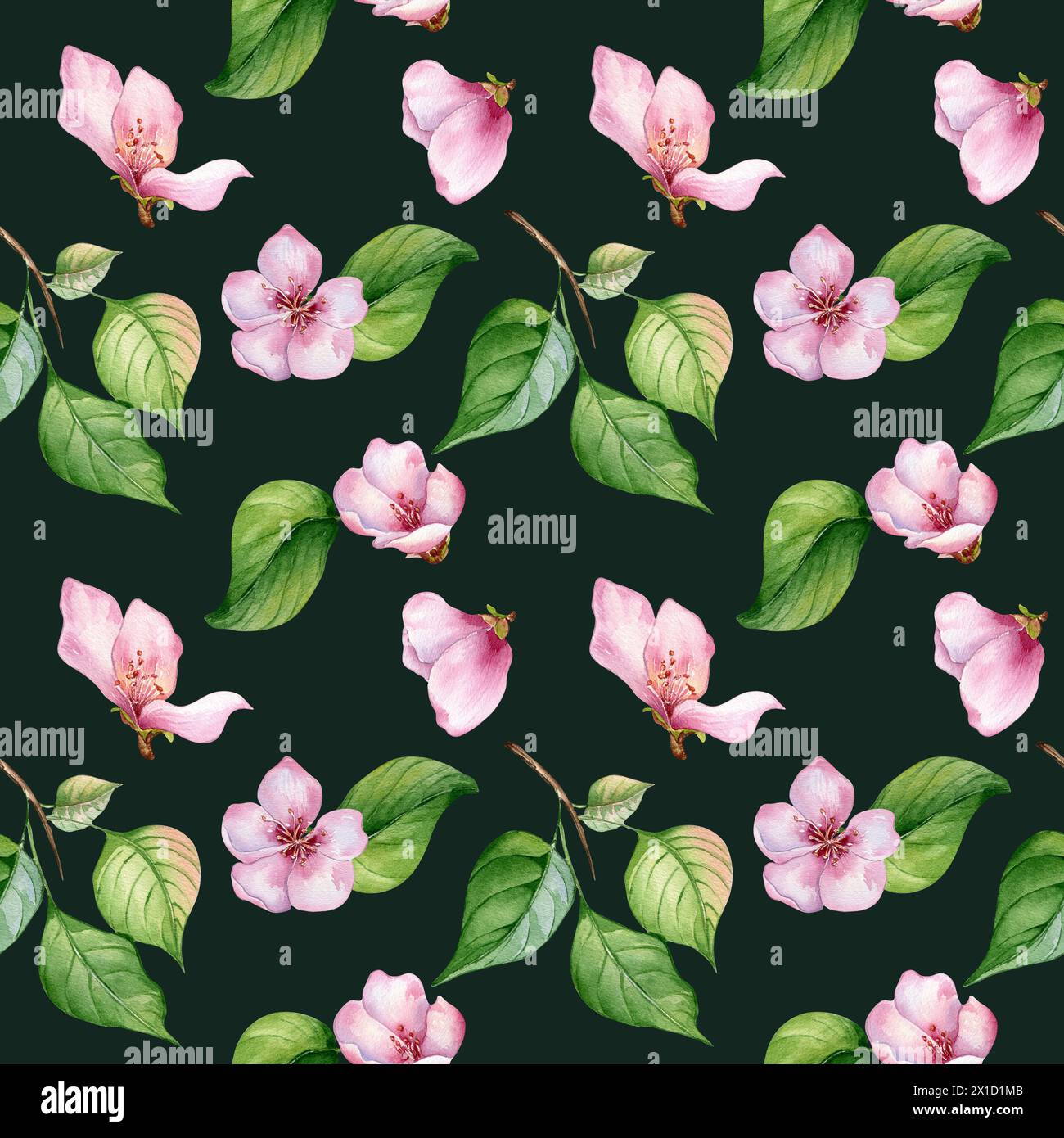 Pink flowers of apple tree and leaves seamless pattern watercolor ...