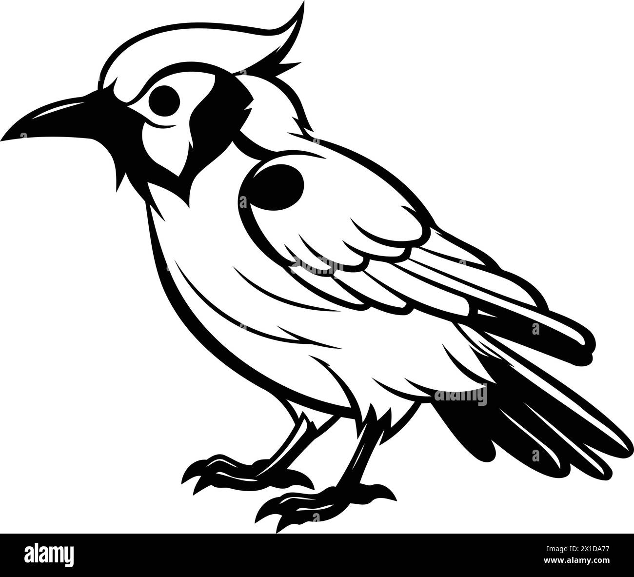 Illustration of a blue jay bird on a white background. Stock Vector