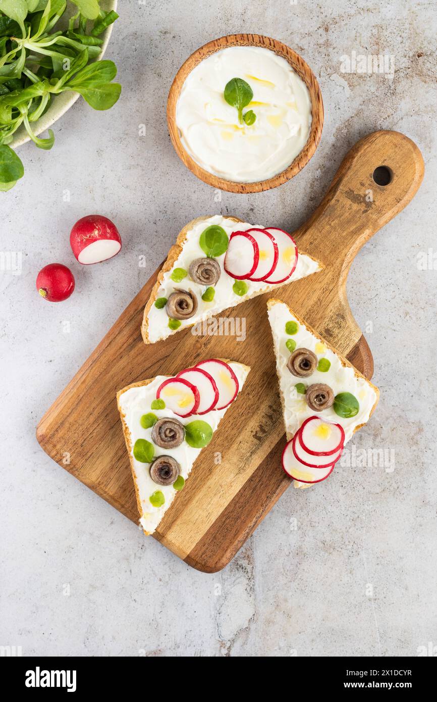 Canapes with anchovies, radishes and cream cheese.Top view with copy ...