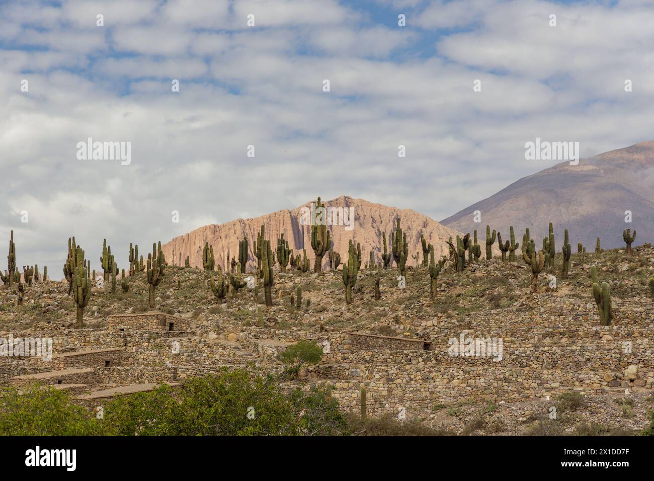 View of Pucara de Tilcara ruins in Jujuy, Argentina. Stock Photo