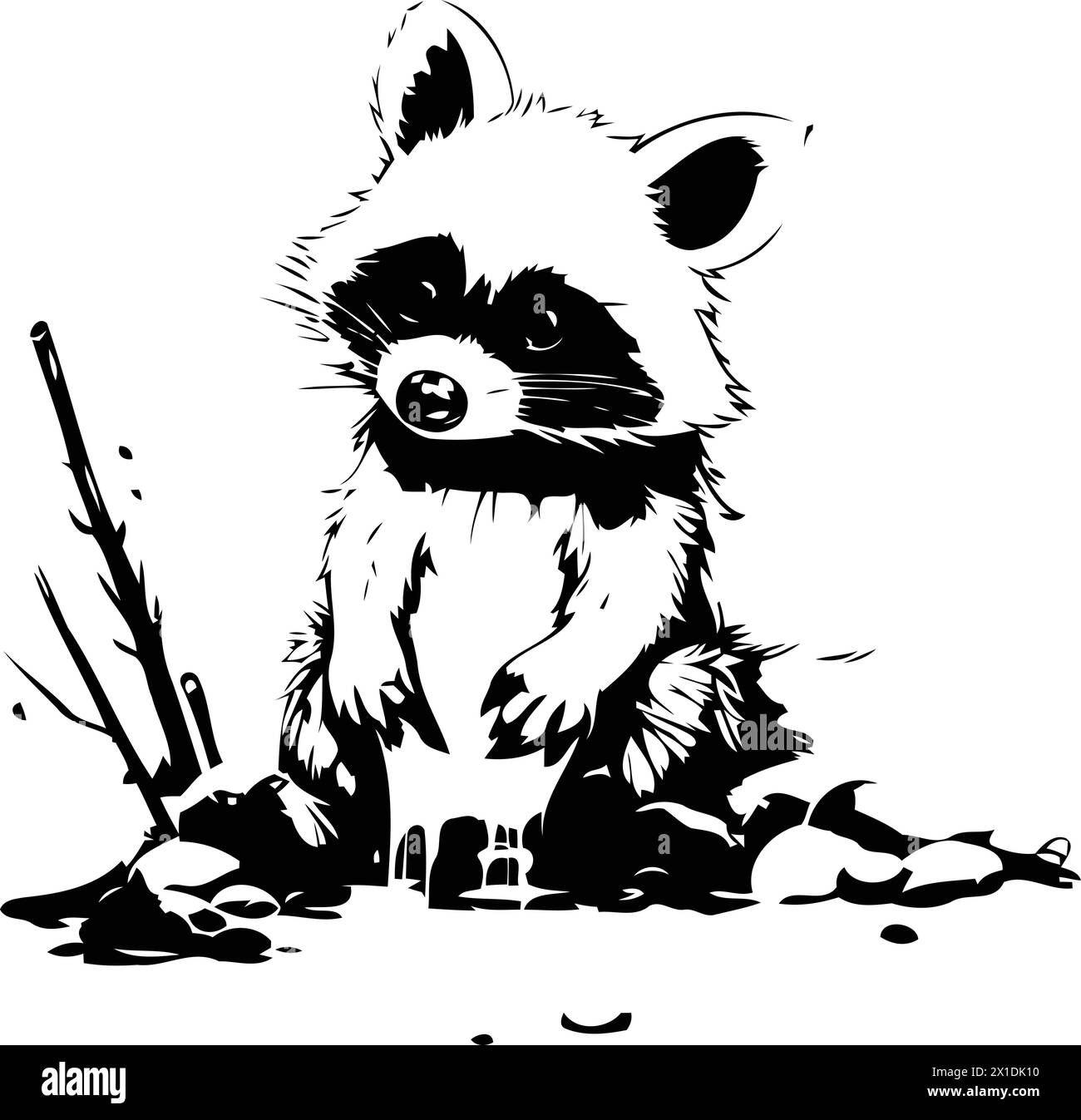 Drinking Racoon Line Drawing Raccoon water Stock Vector Images - Alamy