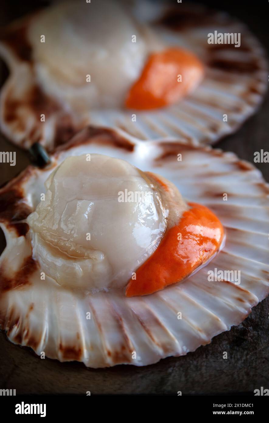 Scallops shellfish hi-res stock photography and images - Alamy