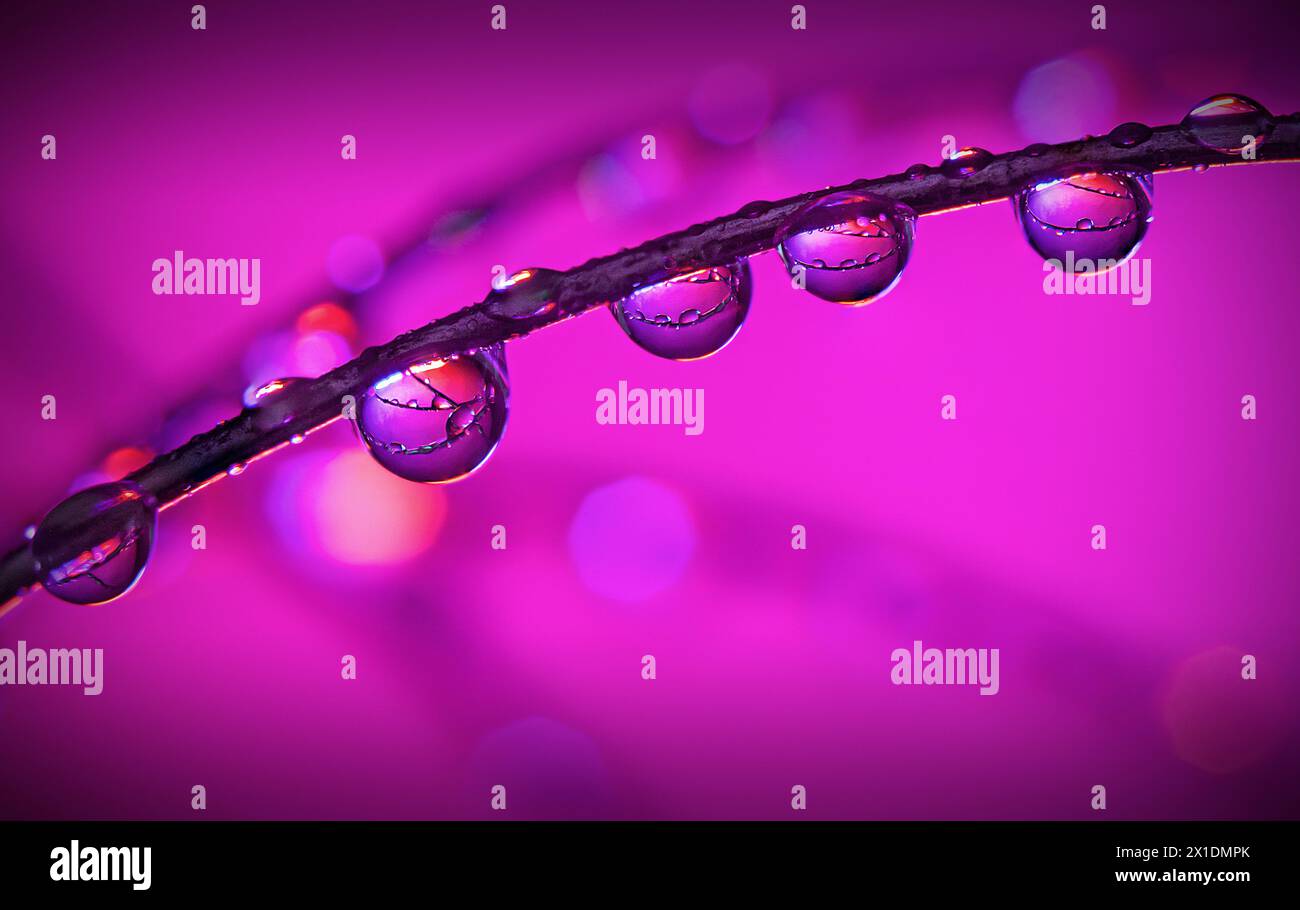 Water droplets on wire Stock Photo