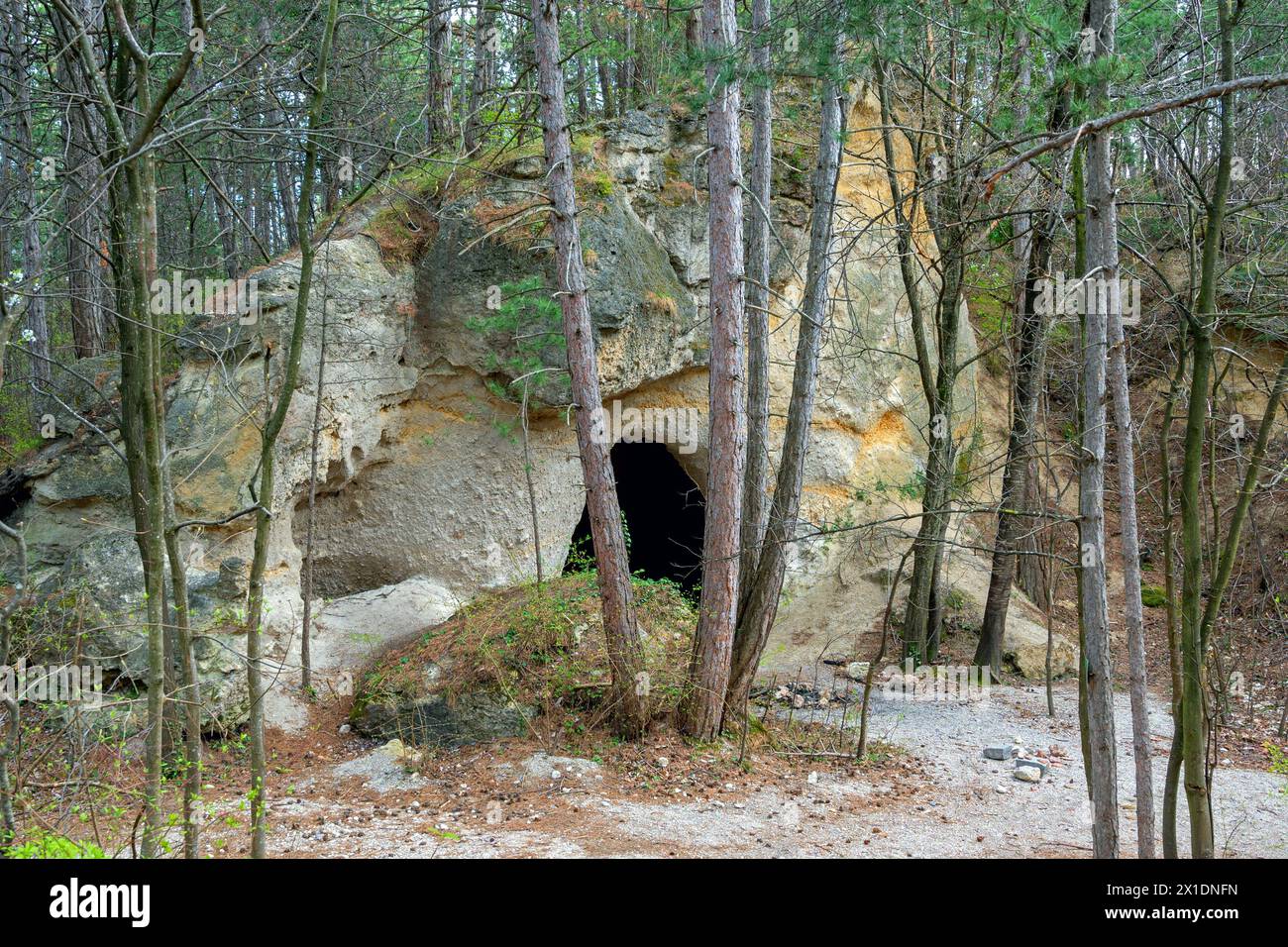 artificial caves in the dolomite rock at the Harzberg mountain above Bath Voeslau, resulting by the former extraction of grinding sand, Austria Stock Photo