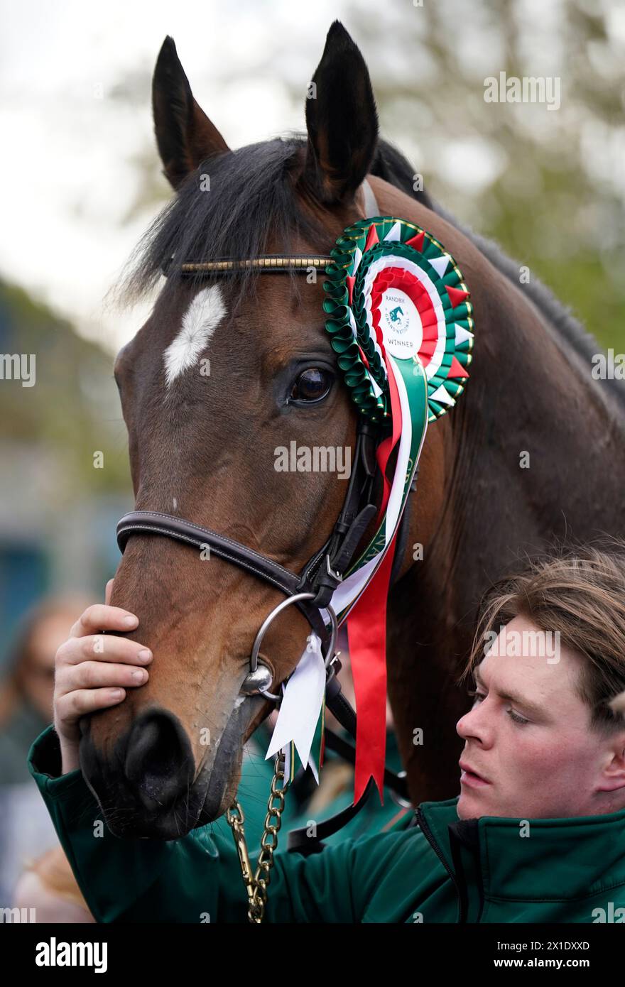 2024 Randox Grand National winner I Am Maximus and groom Steven Cahill