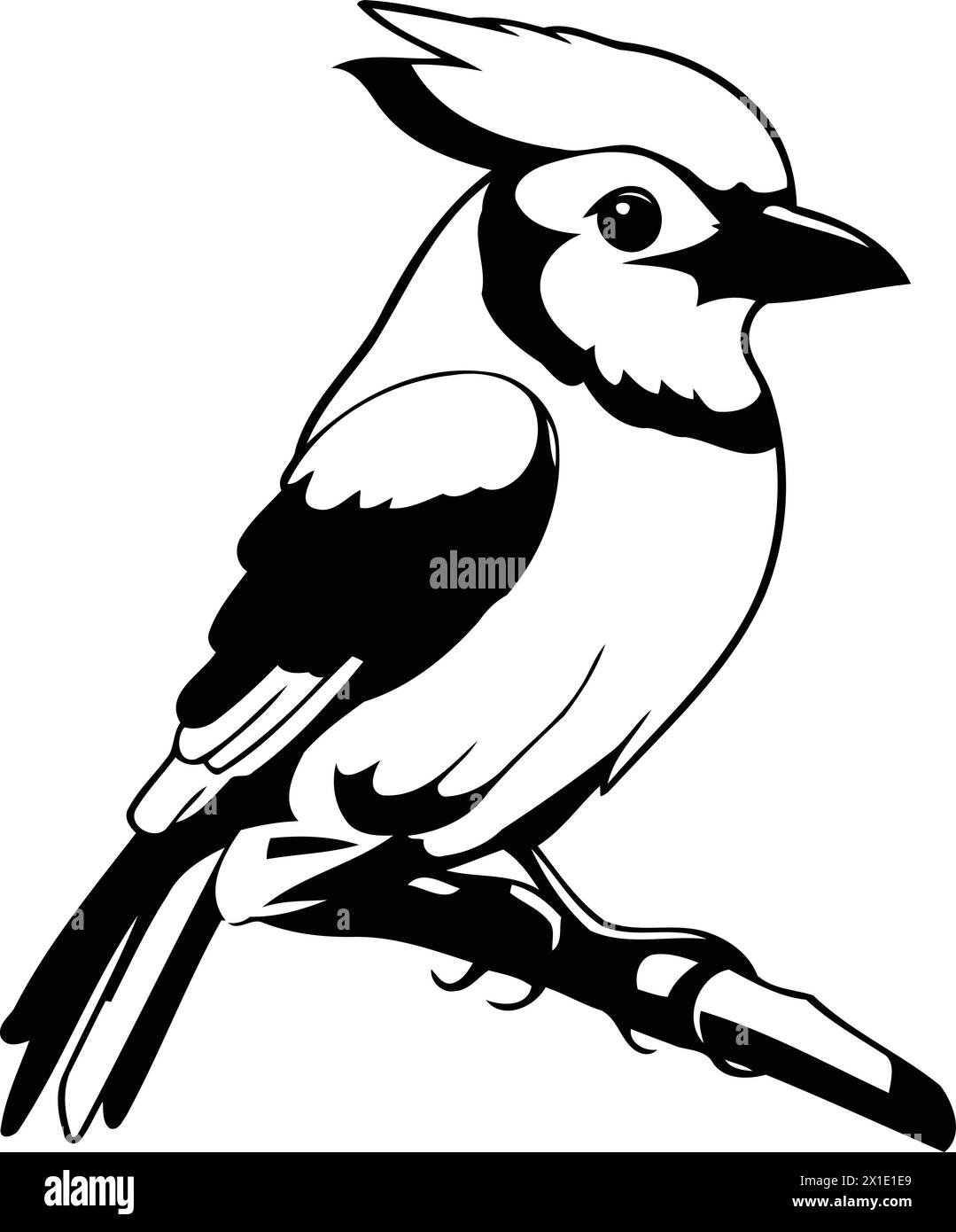 Blue jay bird isolated on white background. Vector cartoon illustration. Stock Vector