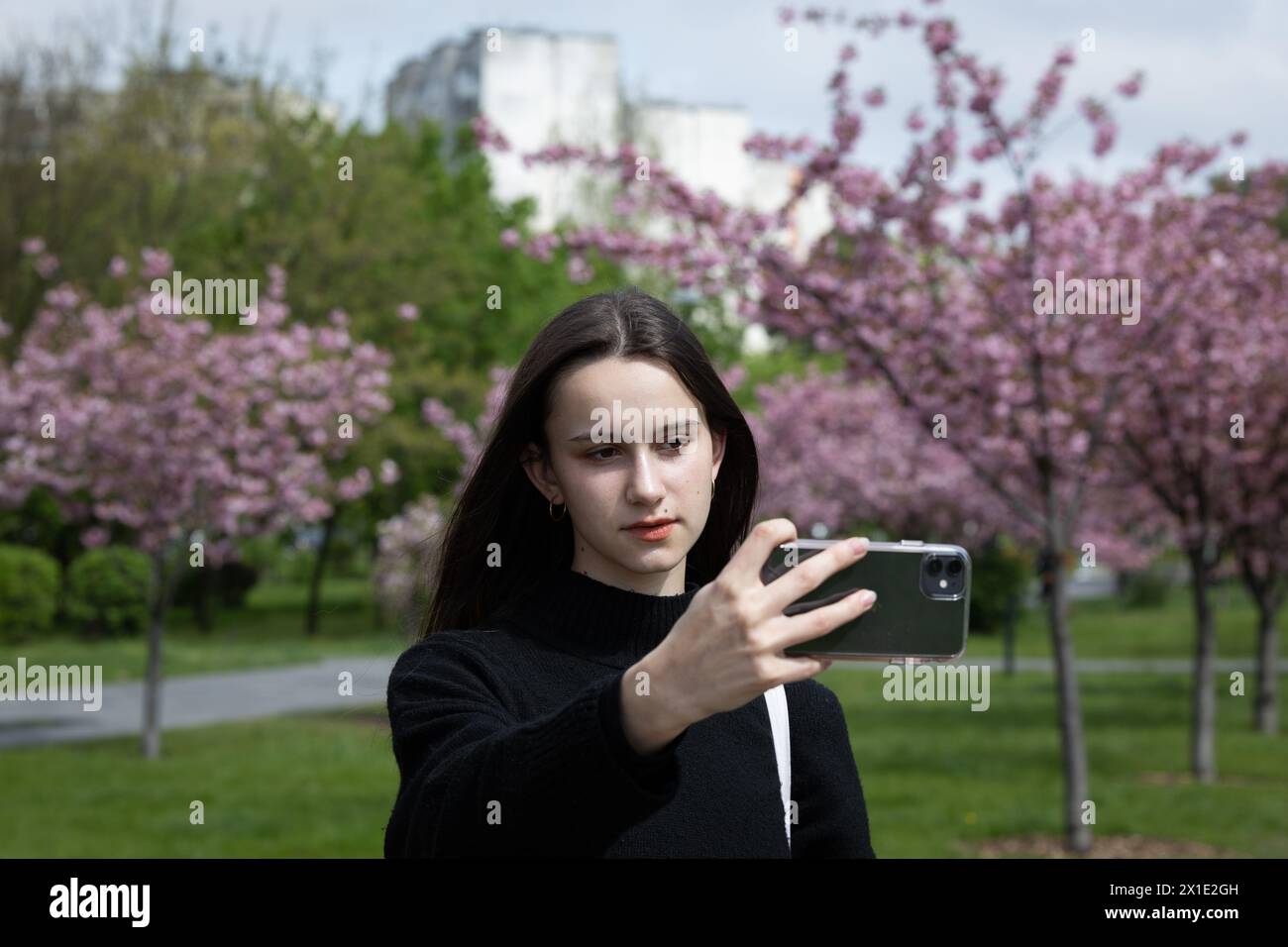A girl takes a selfie against the backdrop of blooming sakura trees in Kyoto Park in Kyiv. Stock Photo