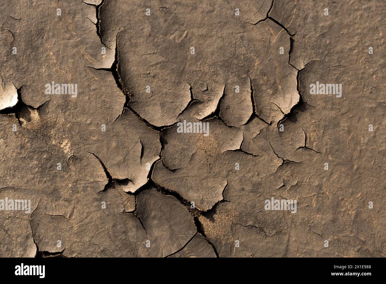 Dry cracked earth texture. Abstract background for design with copy space Stock Photo