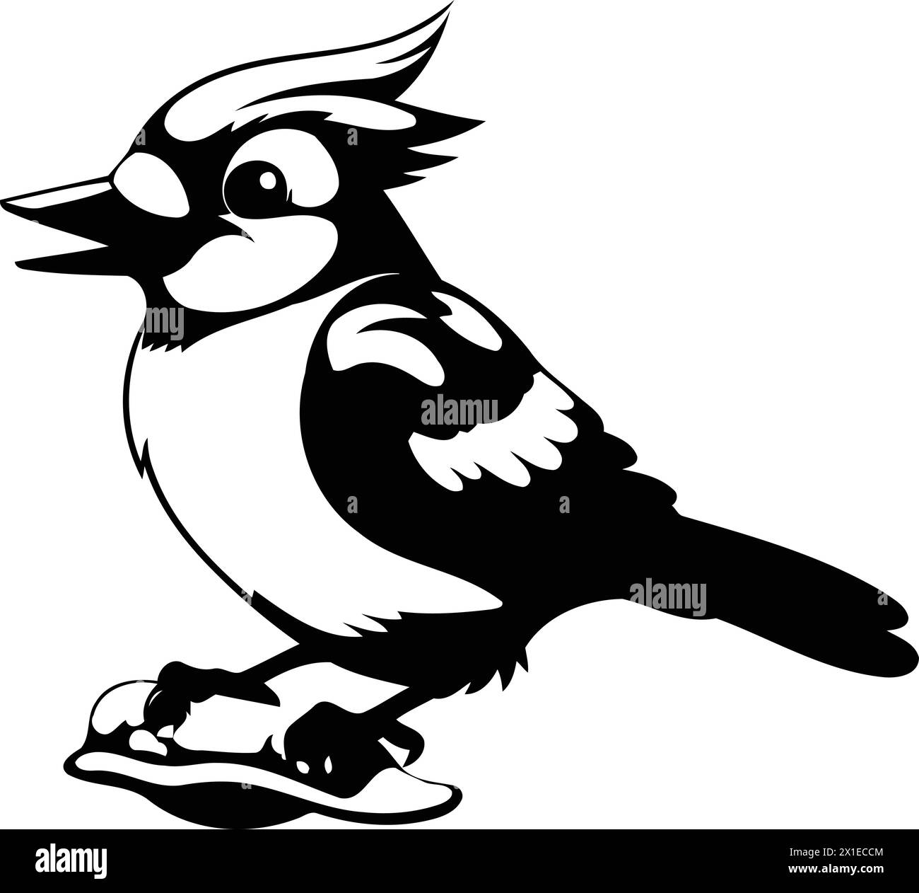 Blue jay bird isolated on white background. Cartoon vector illustration. Stock Vector