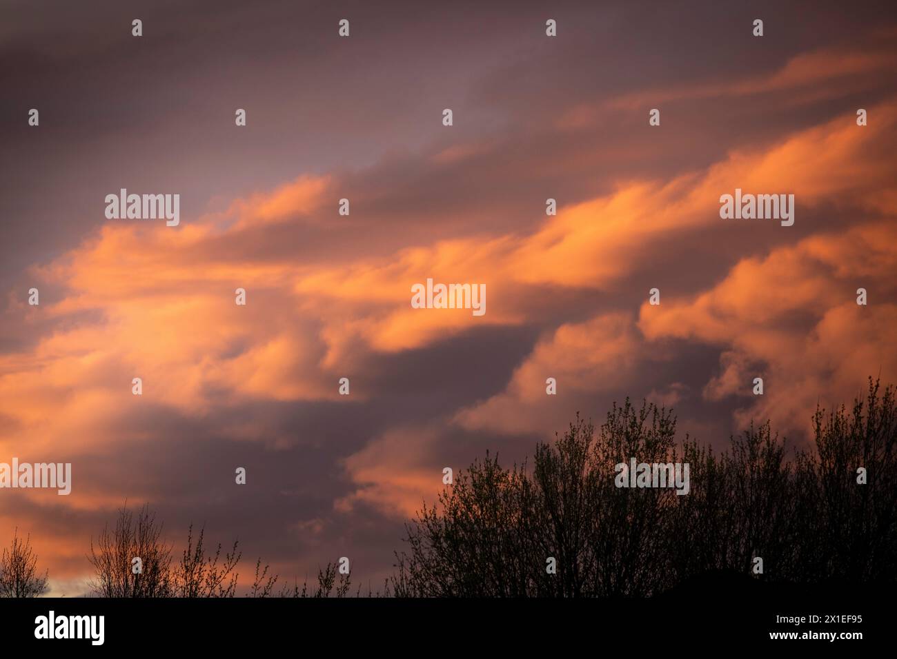 West Yorkshire, UK. 16th Jan, 2024. UK Weather.  Stormy skies over the West Yorkshire Pennine landscape as thunderstorms bring heavy hail showers to spring in the UK.   Credit: Windmill Images/Alamy Live News Stock Photo