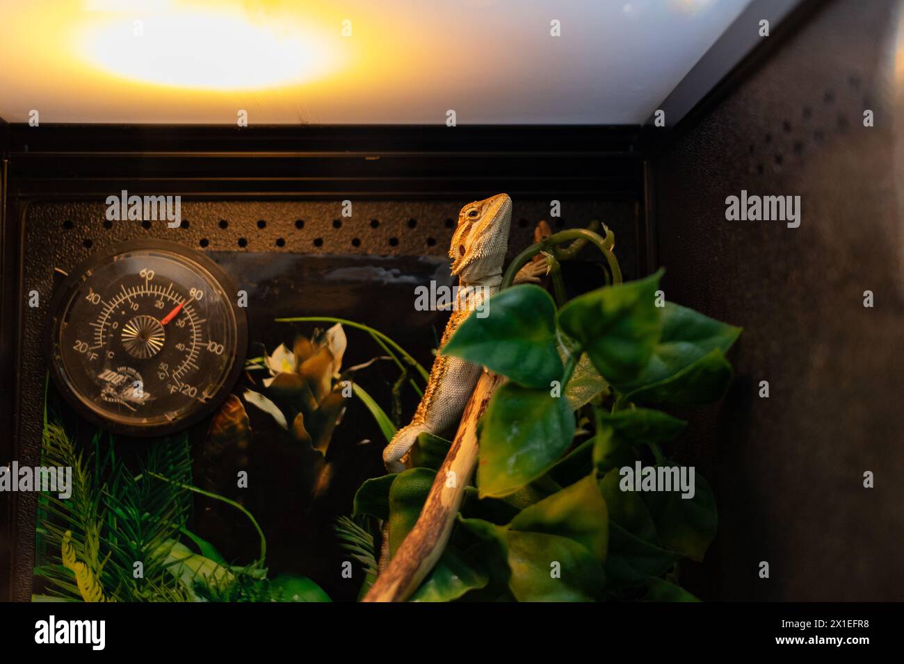 Gallery image with a fresh perspective