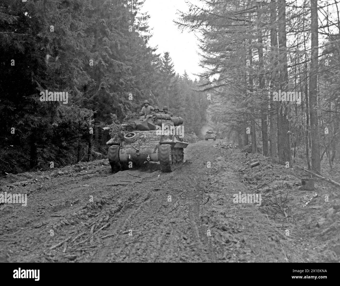 Original Caption: M-10 tank destroyers move up through Hurtgen Forest, on their way to Schmidt, Germany, to encounter a German tank unit occupying that town. 11/4/44. -893rd TD Battalion. Stock Photo