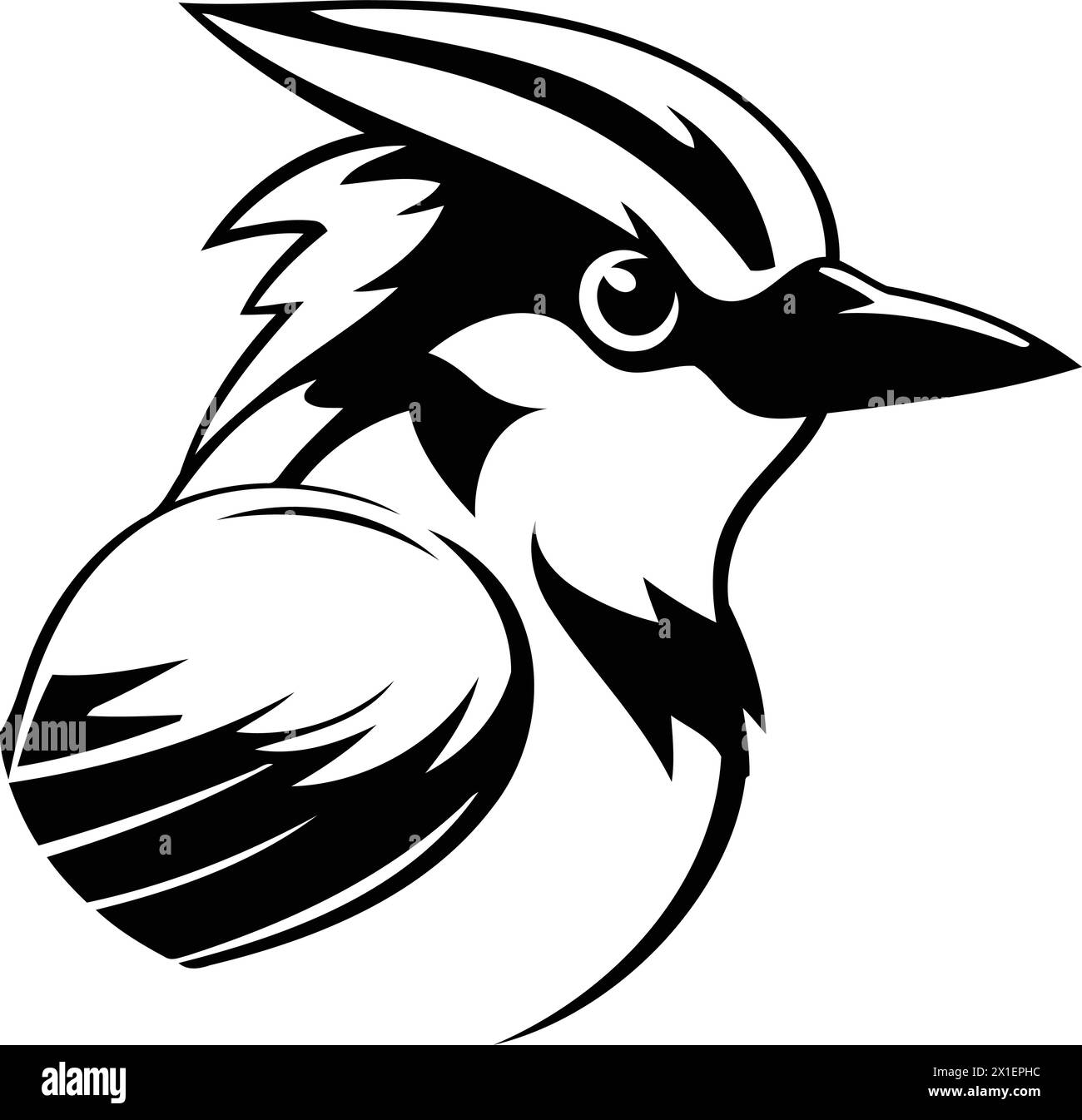 Blue jay bird vector illustration on white background. Bird mascot. Stock Vector