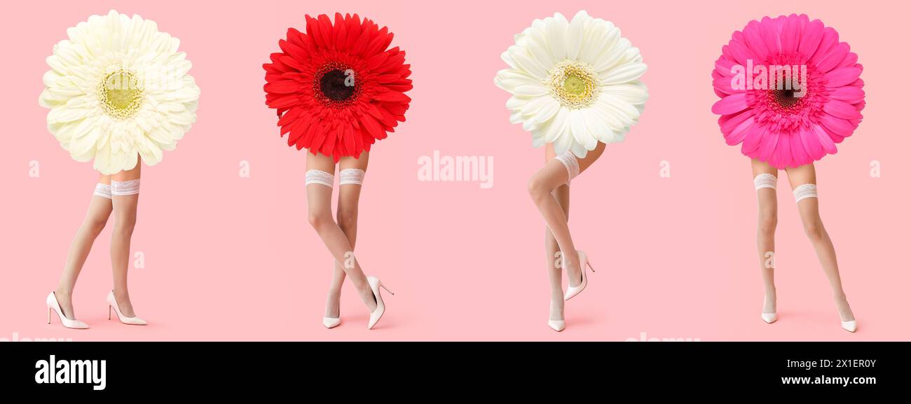 Collage with gerbera flowers and legs of young woman in white stockings and high heels on pink background Stock Photo