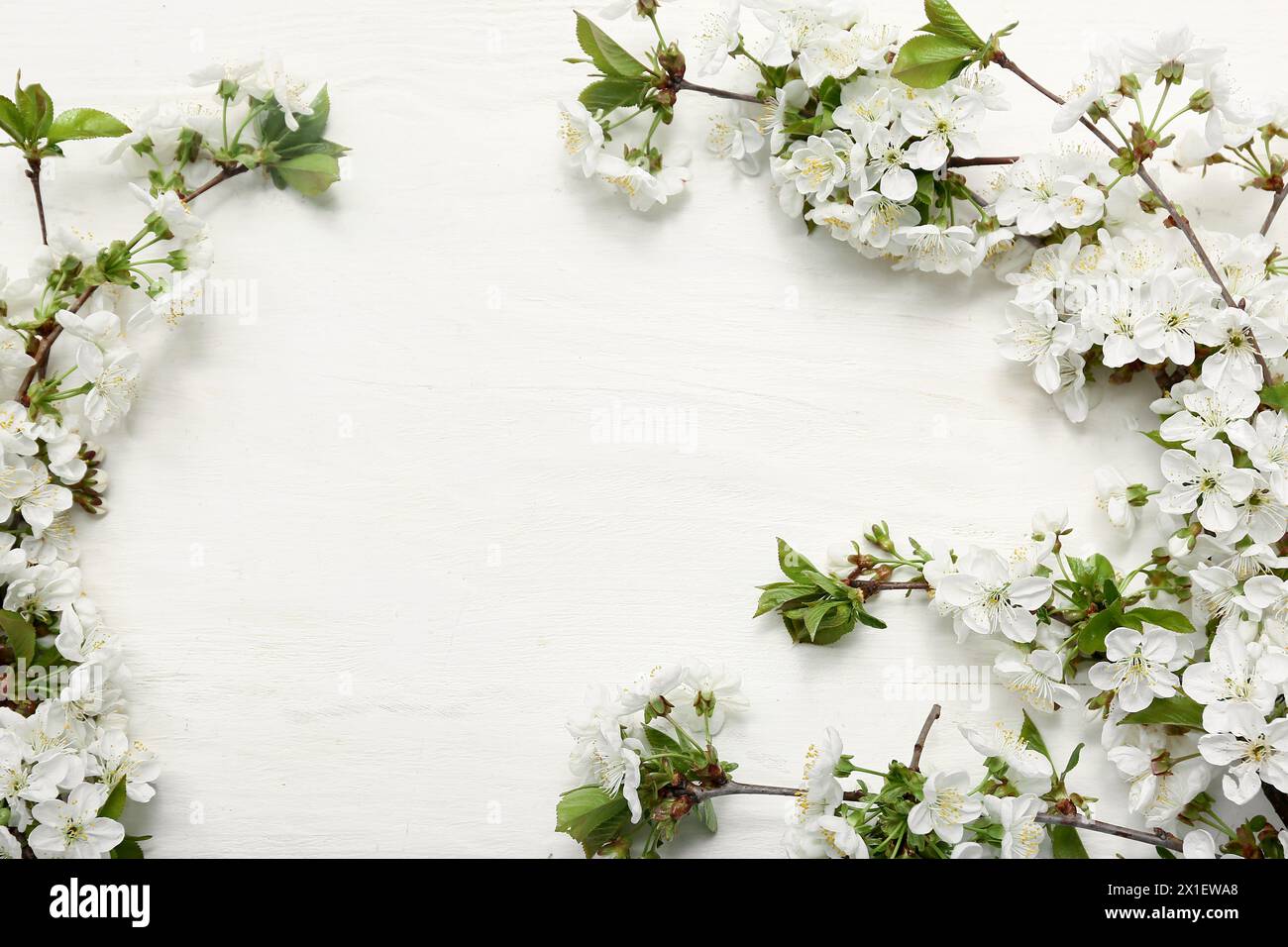 Frame made of beautiful blossoming branches on white wooden background Stock Photo