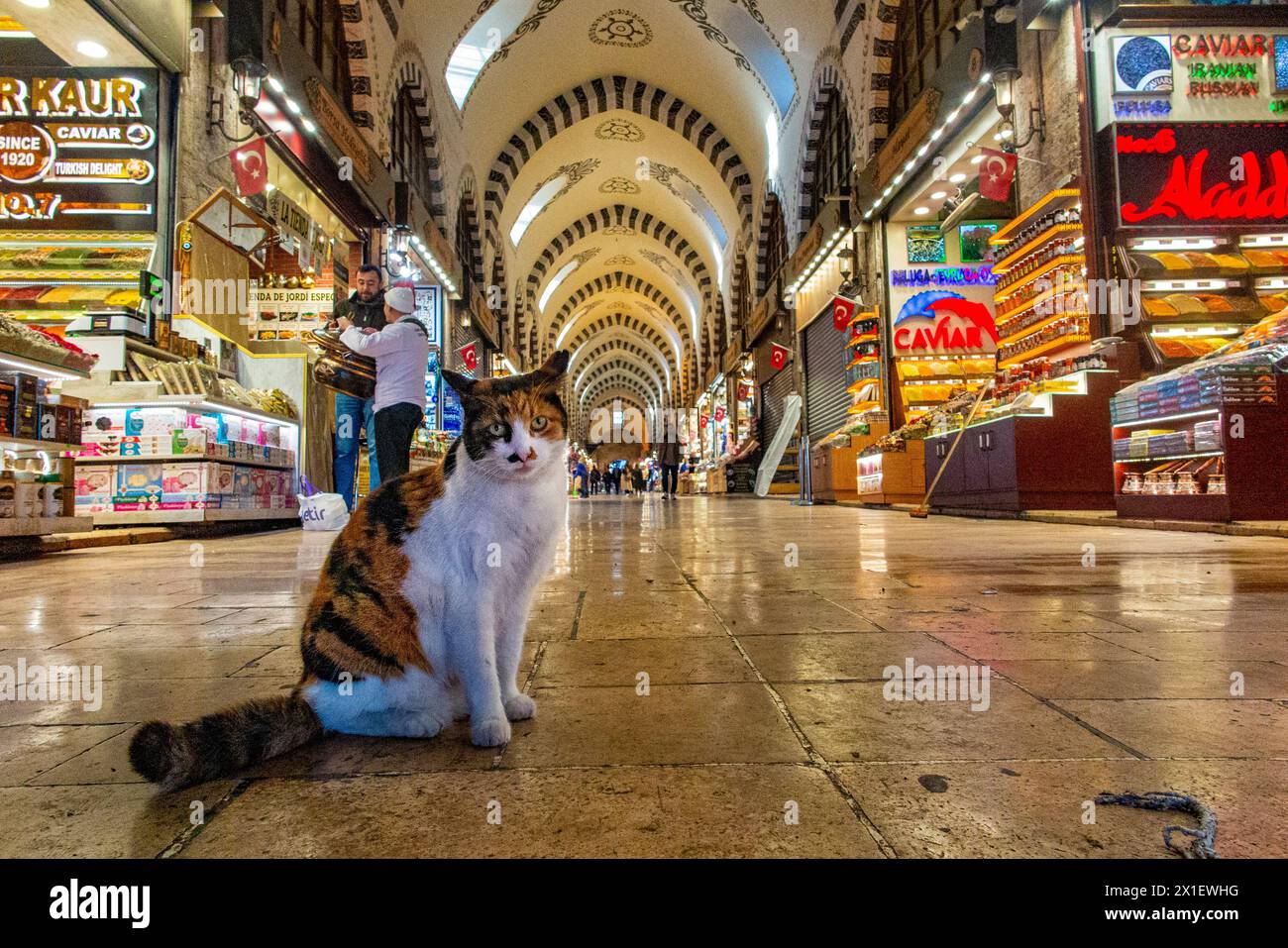 A cat in the foreground of the Egyptian covered market, famous for spices in Istanbul, Turkey Stock Photo
