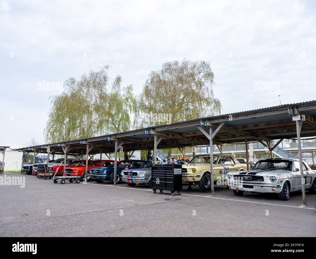April 2024 - Collection of Ford Mustang race cars in the paddock at the ...