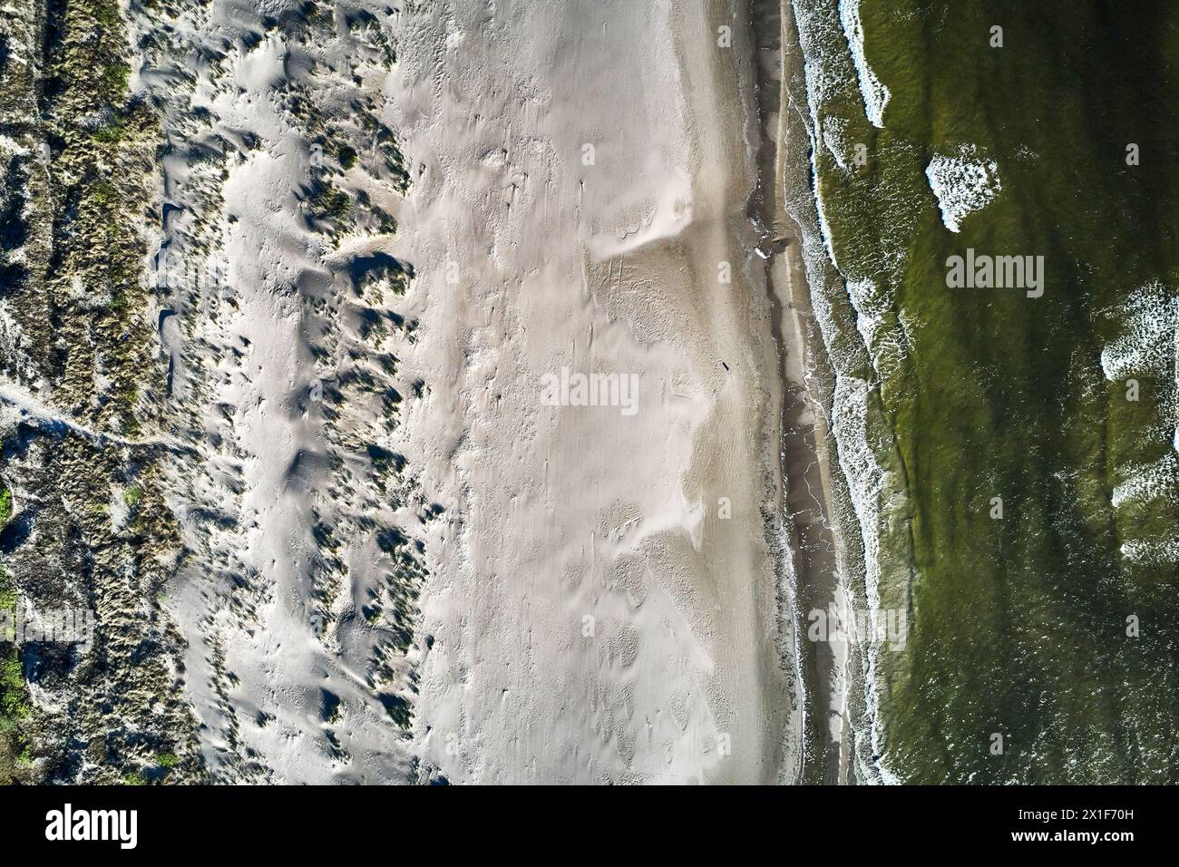 topdown drone view of a baltic sandy beach Stock Photo