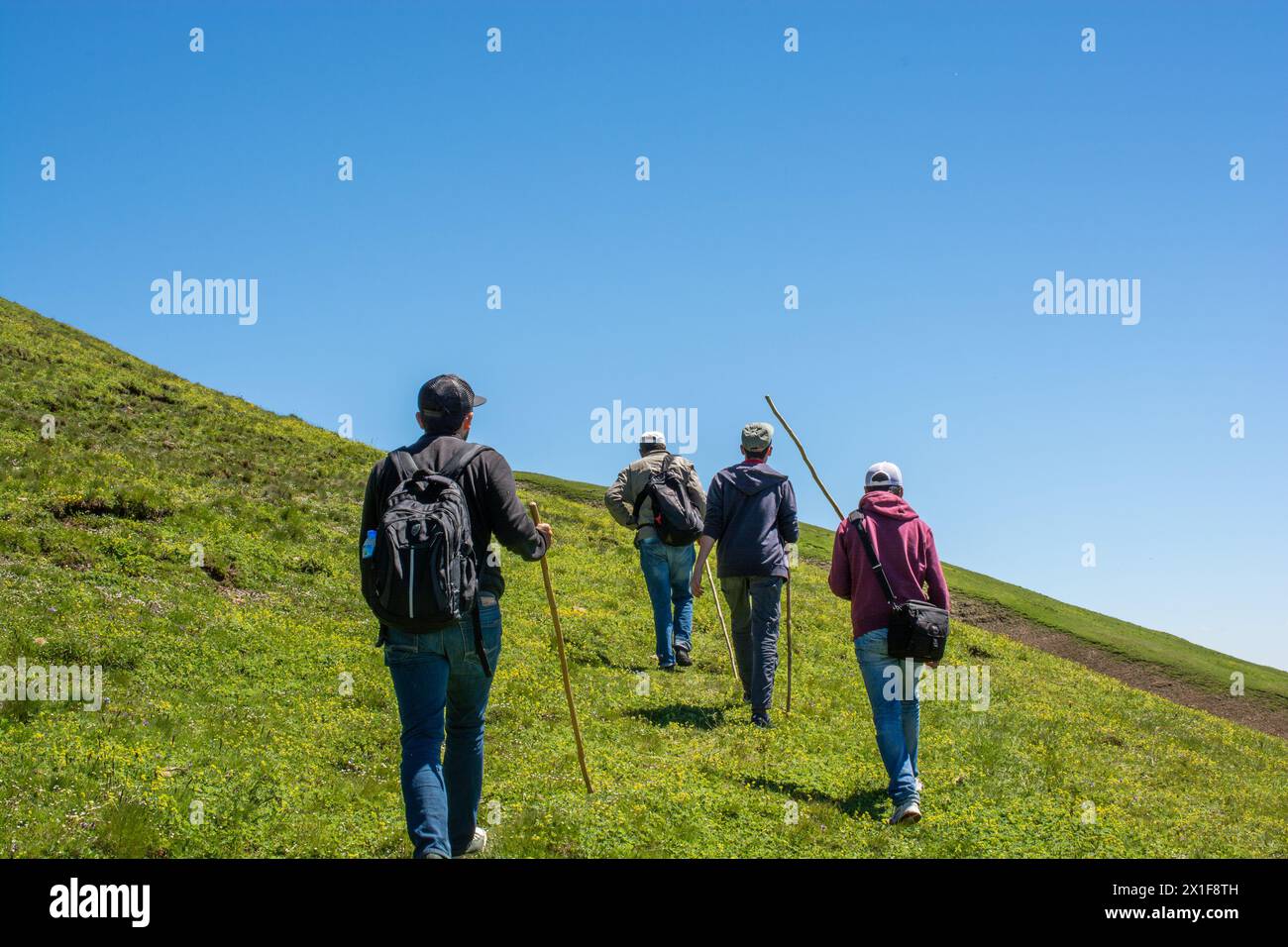 Boy traveler trekking poles hi-res stock photography and images - Alamy