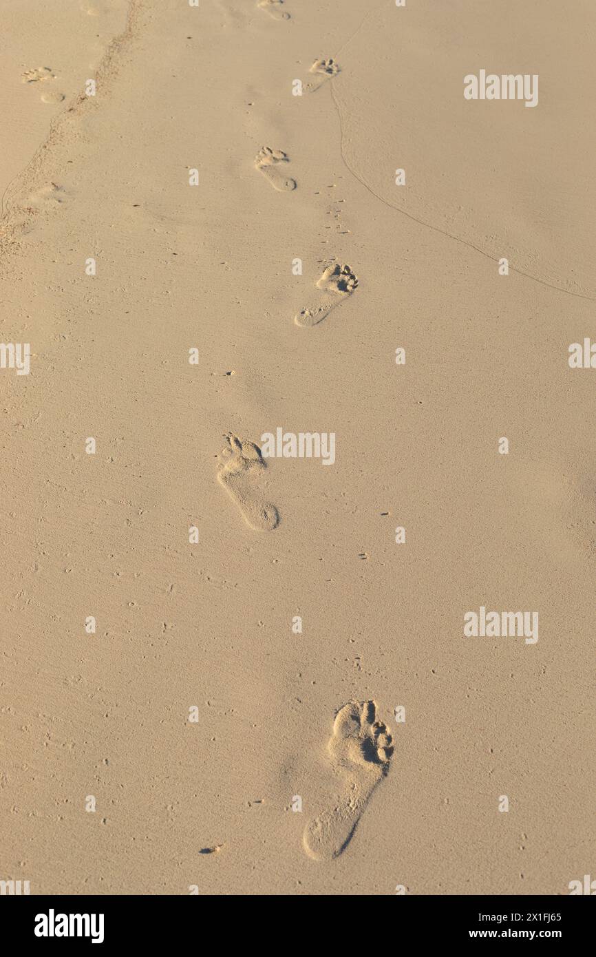 Footprints in the Sand on a Beach Stock Photo - Alamy