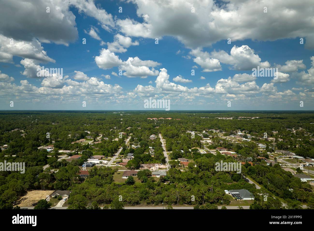 Aerial landscape view of suburban private houses between green palm ...