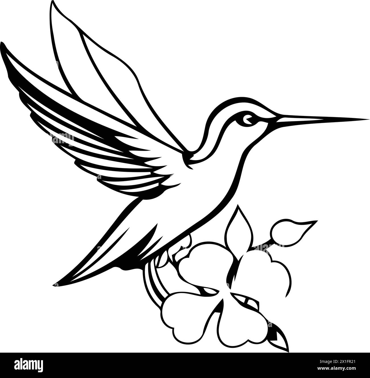 Hummingbird with hibiscus flower. Vector illustration Stock Vector ...