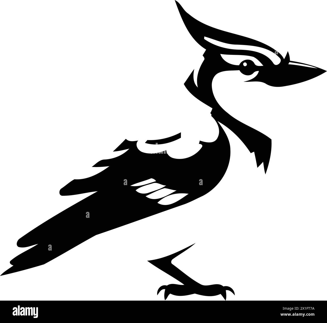 Blue jay bird vector Illustration isolated on a white background. Stock Vector