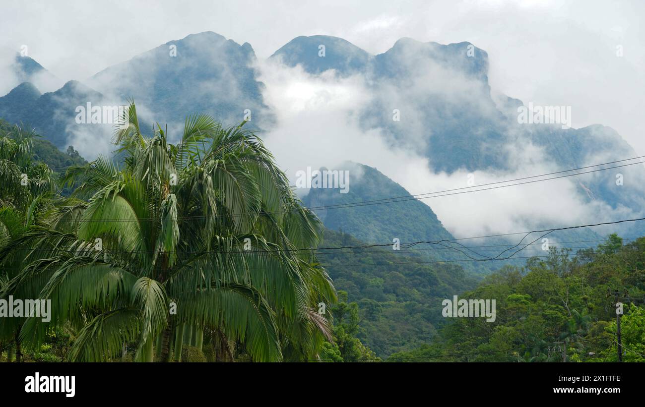 Mountains, clouds and dense Atlantic forest, state of Paraná, Brazil Stock Photo