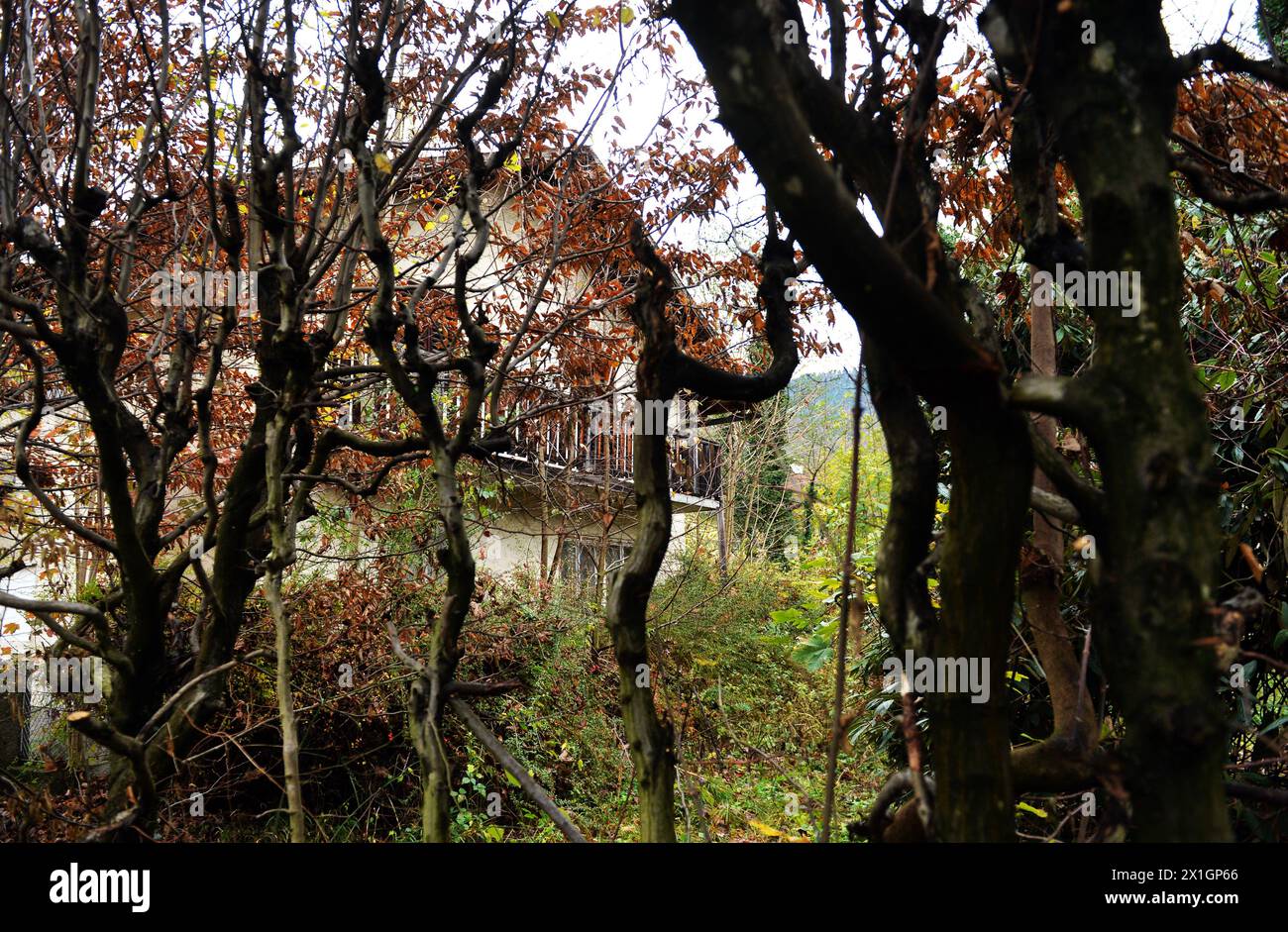 View at the house of German art collector Cornelius Gurlitt in Salzburg, Austria, 05 November 2013. A private stash of 1,500 paintings that were seized by the Nazis, has been found in Germany, a news magazine said 03 November. Customs investigators found the missing art more than two years ago in a Munich apartment of 80-year-old Cornelius Gurlitt, but this was not disclosed at the time, the 'Focus' magazine reported. - 20131105 PD0557 - Rechteinfo: Rights Managed (RM) Stock Photo