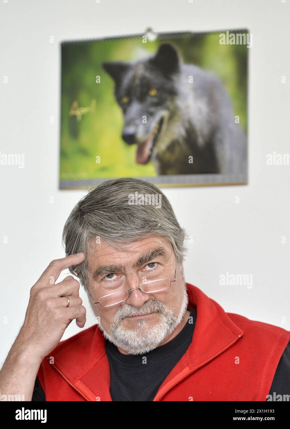 Ernstbrunn - he WSC, Wolf Science Centre, of the University of Vienna, develops a special treadmill for the training of wolves. Presentation of the treadmill for wolves and dogs on 15th April 2015. PICTURE:   manager of the Wolf Science Center Kurt Kotrschal. - 20150415 PD11344 - Rechteinfo: Rights Managed (RM) Stock Photo