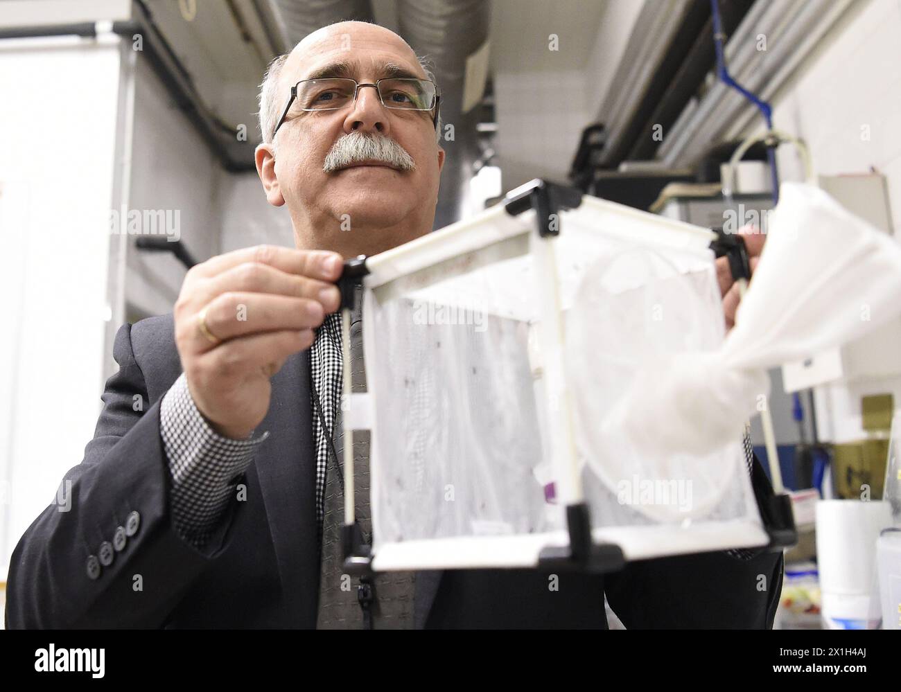 Biologist lab insects hi-res stock photography and images - Alamy