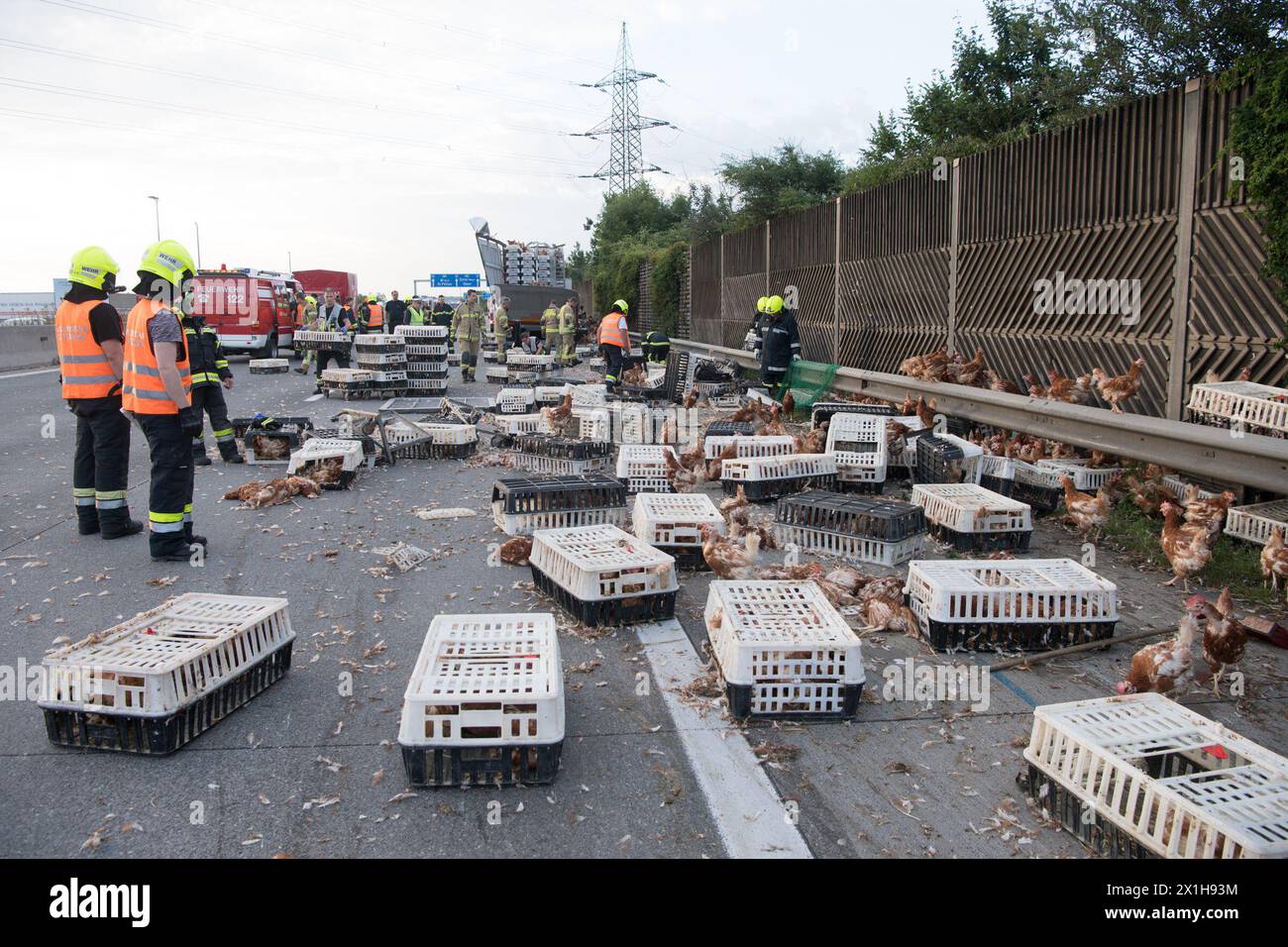 Poultry truck accident hi-res stock photography and images - Alamy