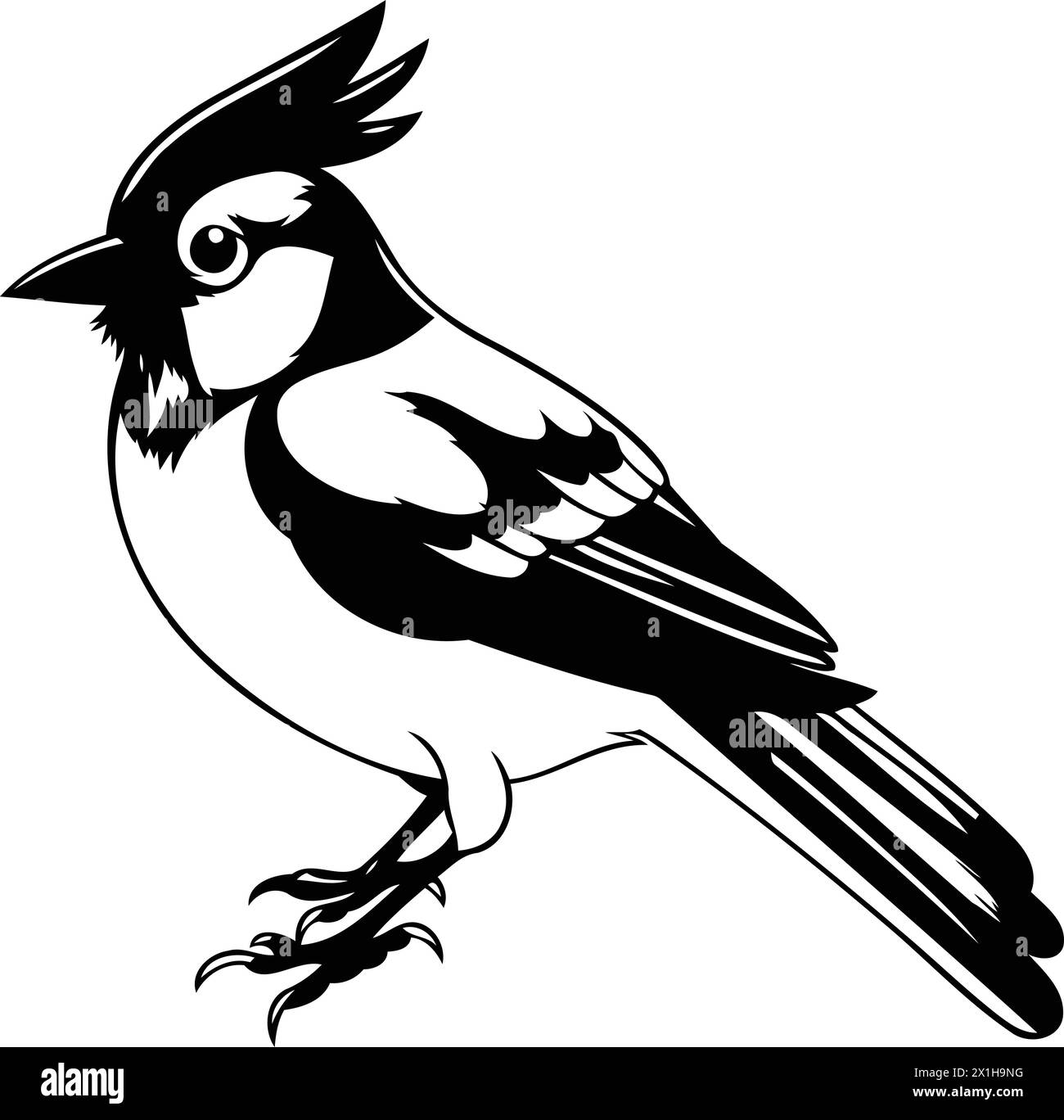 Blue jay bird vector illustration isolated on white background. Cartoon blue jay bird. Stock Vector