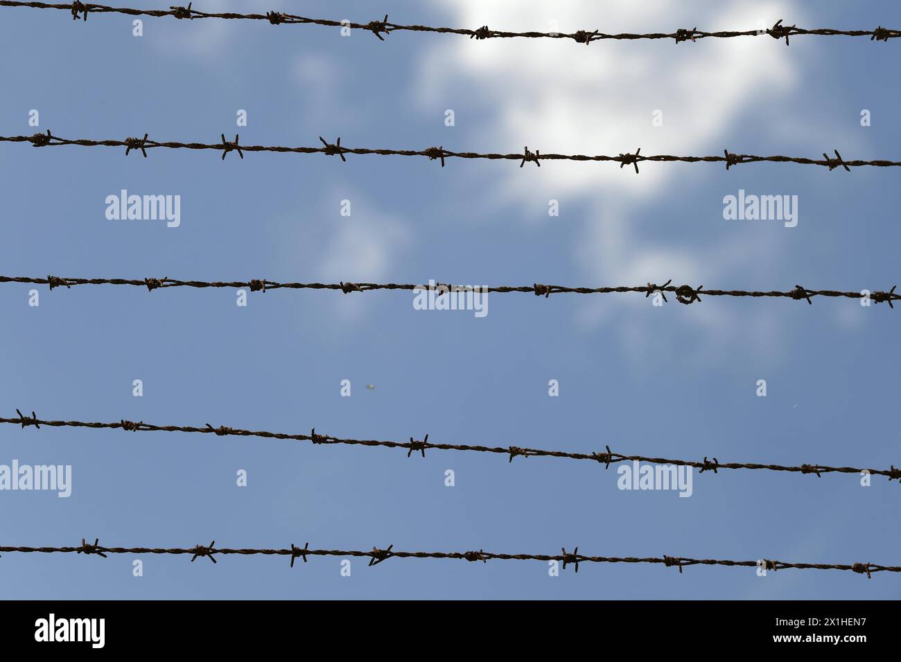 Mauthausen concentration camp complex hi-res stock photography and ...