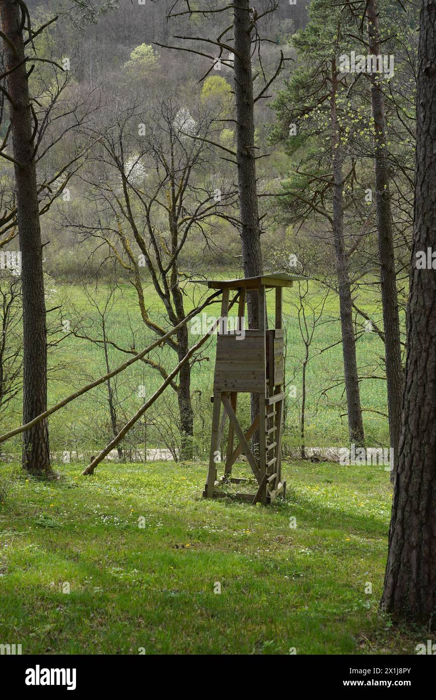 A hunter's deer stand in spring in the forest in Switzerland. Rapeseed field in the background. Vertical view. Stock Photo