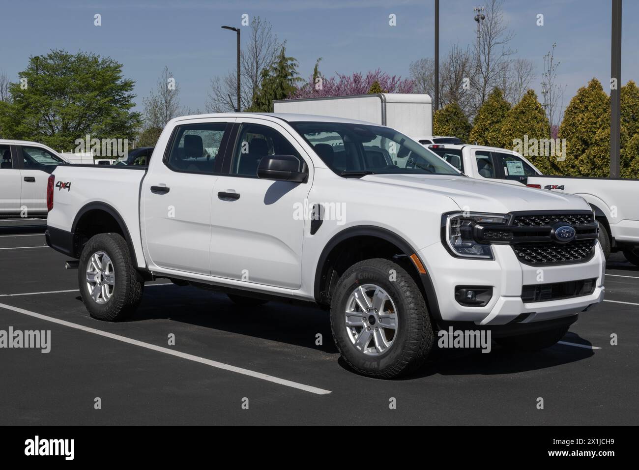 Zionsville - April 14, 2024: Ford Ranger STX 4X4 display at a dealership. Ford offers the Ranger in XL, XLT, Lariat and Raptor models. Stock Photo