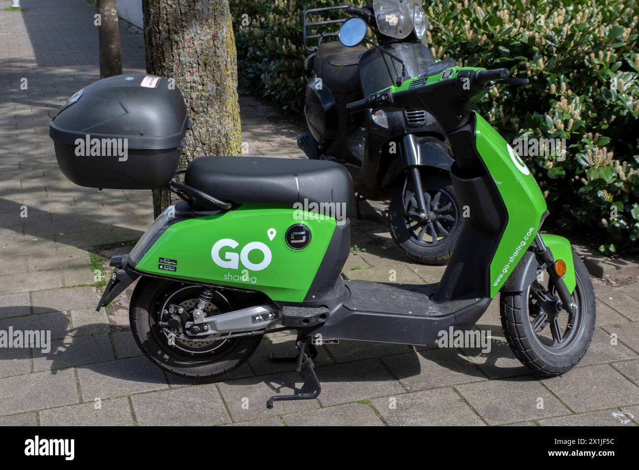 Go Sharing Scooter At Amsterdam The Netherlands 14-4-2024 Stock Photo