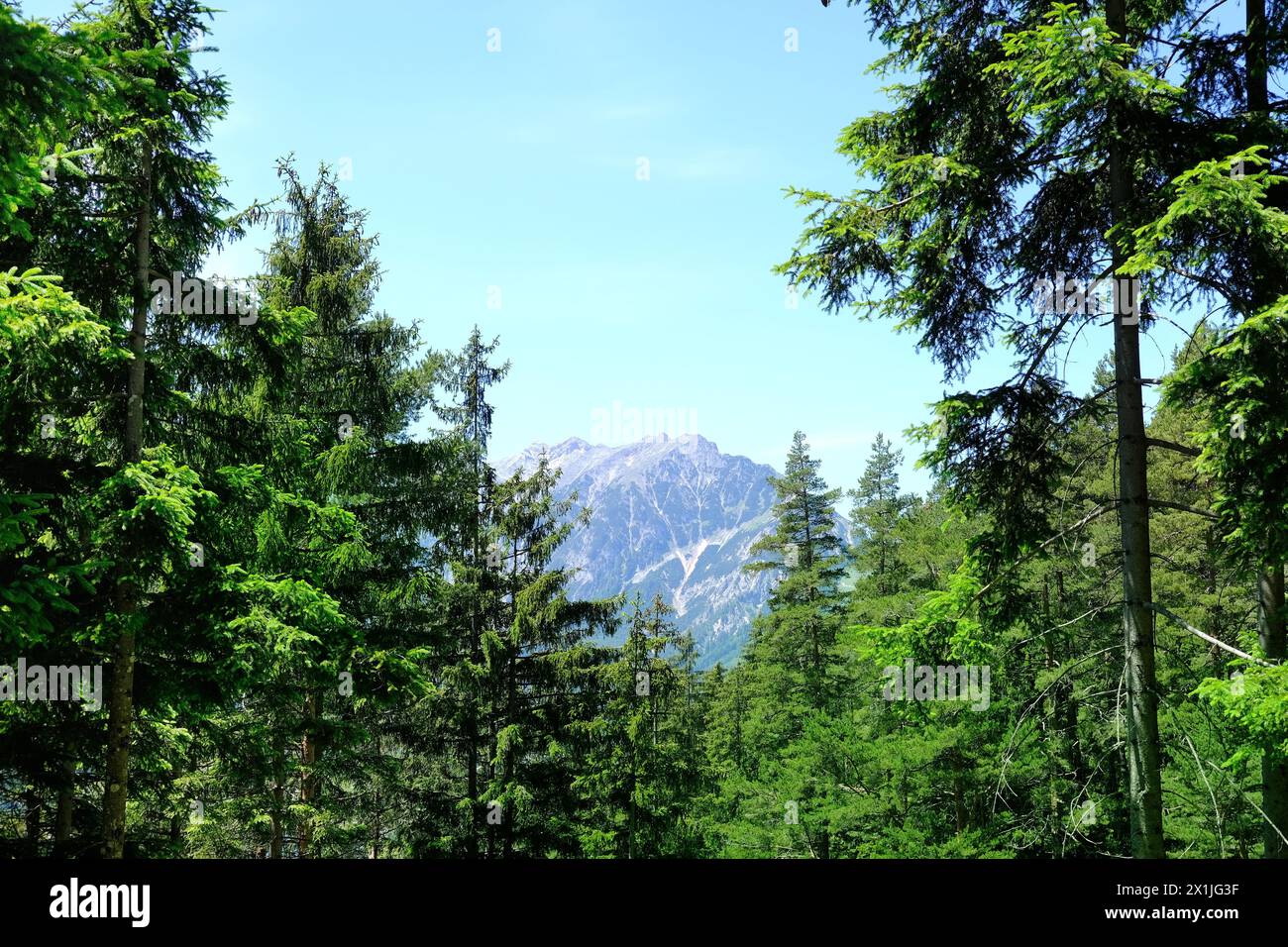 European Ravines Scenic view green Alpine mountains with rugged ravines, mountain range ...