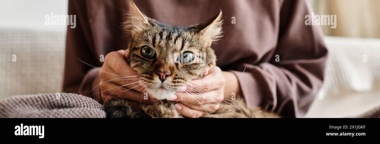 An attractive woman with short hair peacefully holds her beloved cat in her hands while at home. Stock Photo