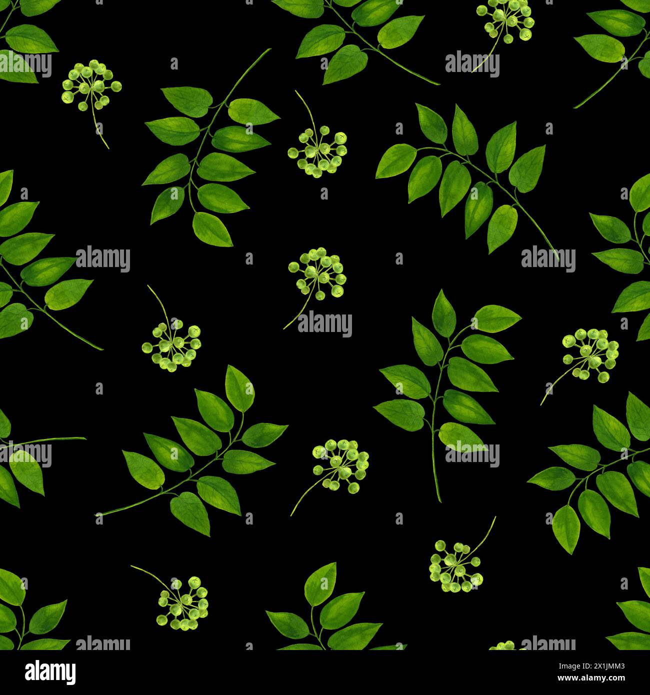 Watercolor seamless pattern with branches and leaves. Hand painted ...