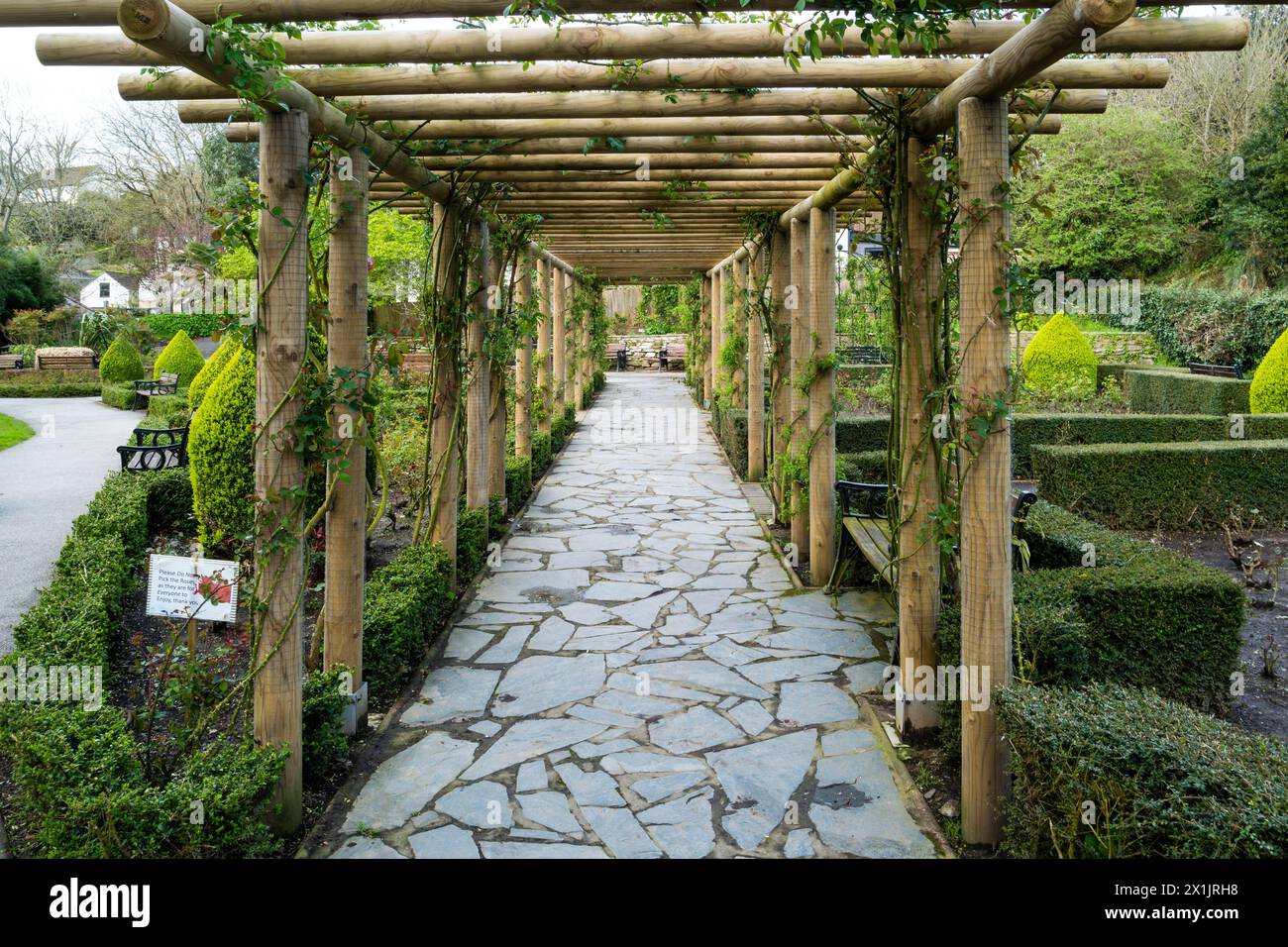 An ornamental wooden pergola in the Rose Garden in the historic award winning Trenance Gardens in Newquay in Cornwall in the UK. Stock Photo