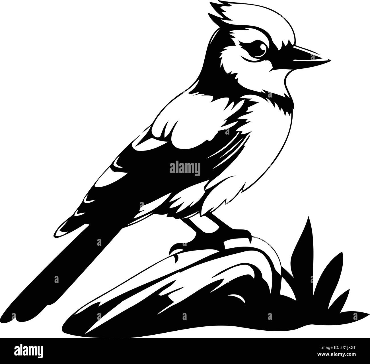 Blue jay bird isolated on white background. Vector illustration in cartoon style. Stock Vector