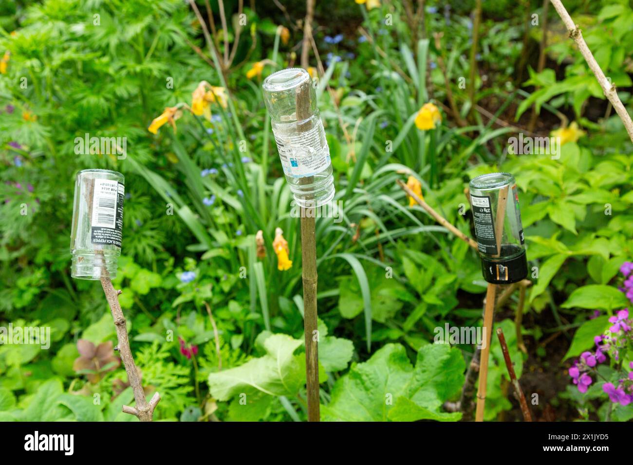 Empty glass jars used as Safety Cane End Caps Stock Photo