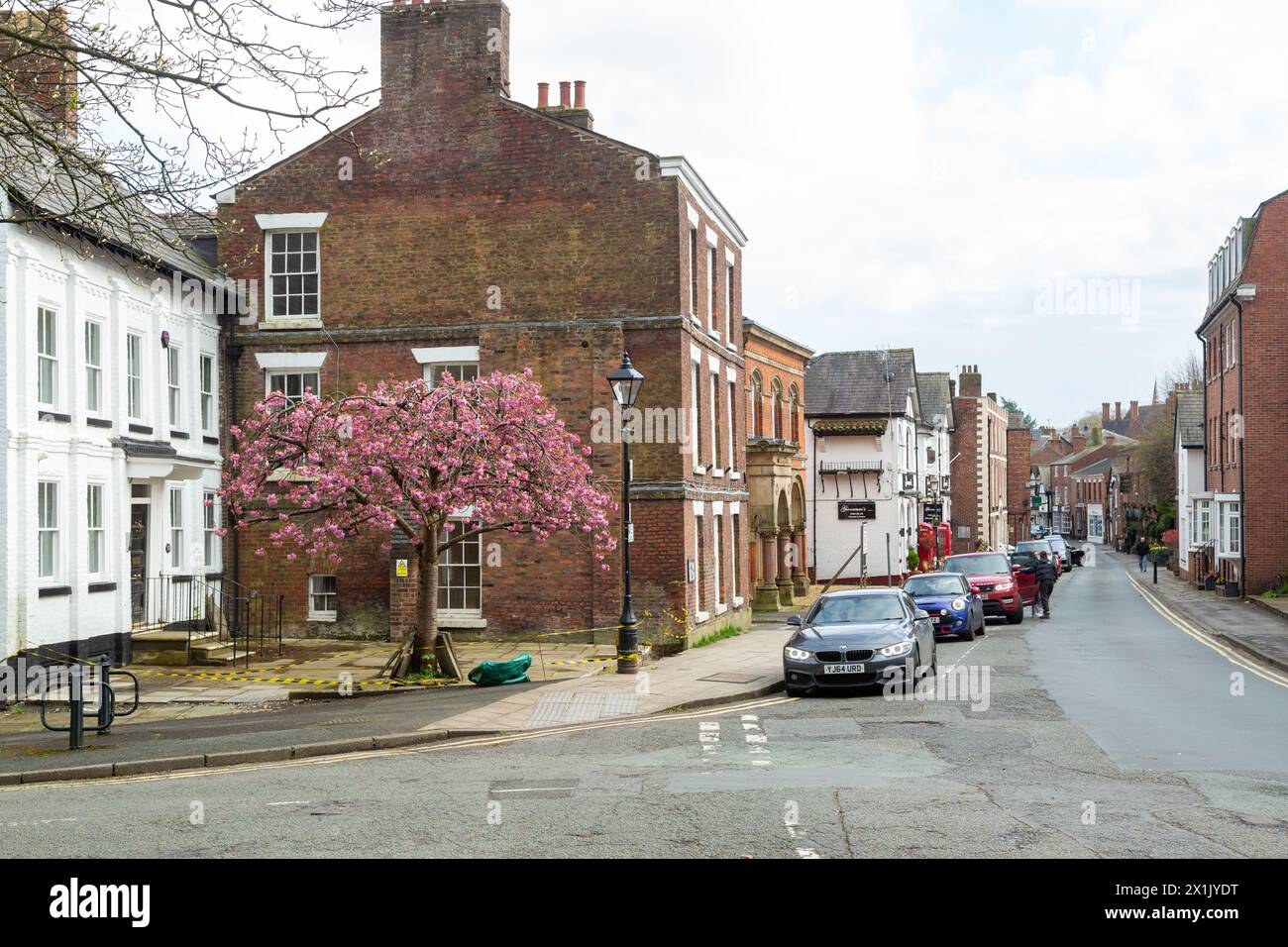 Spring blossom on the Knutsford High Street. Stock Photo