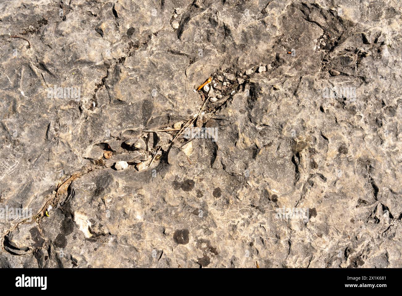 Texture of big rough limestone, with stone chippings lying on it, and ...
