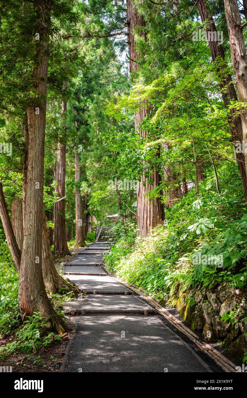The path to Togakushi's Inner Shrine is lined with cedar trees that are 400+ years old, Nagano, Japan. Stock Photo