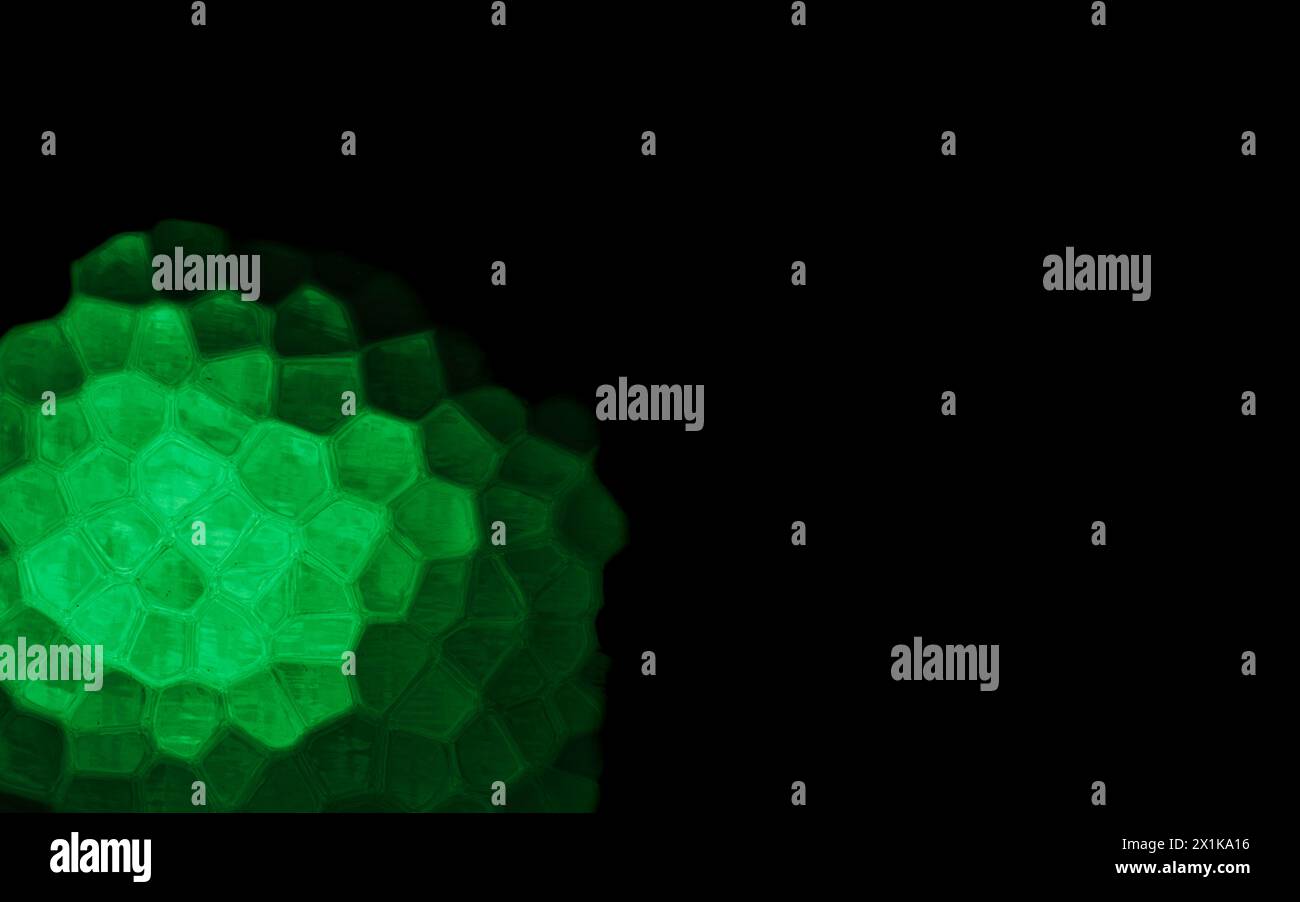 Green Polygonal Shapes on black background. Honeycomb pattern. Stock Photo